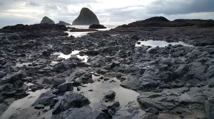 oceanside winter 2019