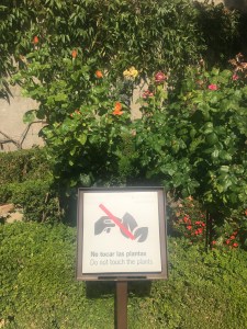 do not touch the plants